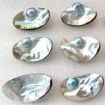 Perlenklassiker Perlenarten Mabéperlen für Perlenketten, Perlenarmbänder, Perlenohrringe, Perlenringe und Perlenanhänger