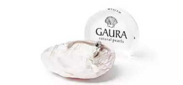 Logo von Gaura Pearls mit Perlenmuschel