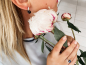 Preview: Casual Perlenohrring lavendel rund 8.5-9 mm, Zirkonia, Englischer Verschluss, Gaura Pearls, Estland Bild 2