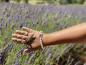 Preview: Elegantes Design-Perlenarmband weiß rund 7-8 mm,  Designverschluss 925er Silber, Gaura Pearls, Estland Bild 3