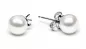 Preview: Perlenohrstecker weiß rund 5.5-6 mm, Sicherheitsverschluss 925er Silber, Gaura Pearls, Estland Preview: Perlenohrstecker weiß rund 5.5-6 mm, Sicherheitsverschluss 925er Silber, Gaura Pearls, Estland