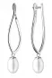 Preview: Eleganter Perlenohrring in rhodiniertes 925er Silber Preview: Eleganter Perlenohrring in rhodiniertes 925er Silber