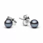 Preview: Klassischer Tahiti Perlenohrstecker schwarz rund 5-6 mm, rhodiniertes 925er Silber, Sicherheitsverschluss, Gaura Pearls, Estland Preview: Klassischer Tahiti Perlenohrstecker schwarz rund 5-6 mm, rhodiniertes 925er Silber, Sicherheitsverschluss, Gaura Pearls, Estland